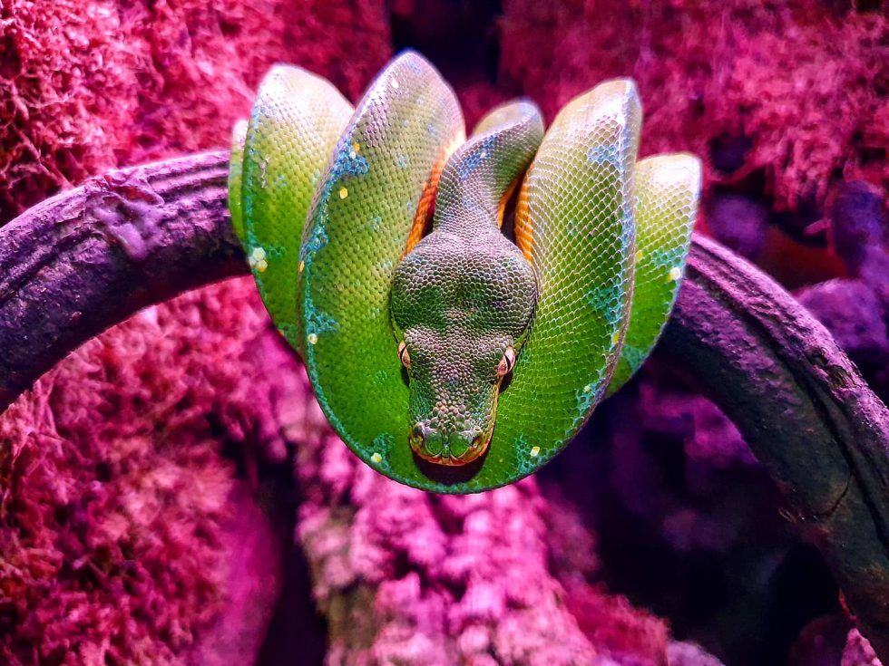 Fotografía